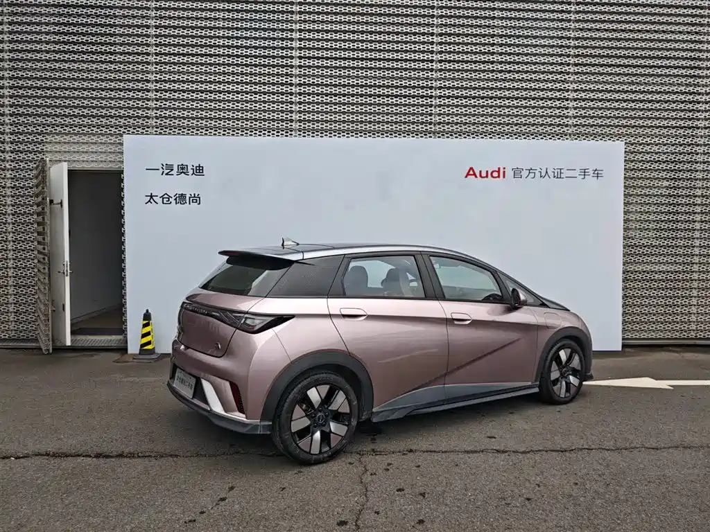 BYD Dolphin 2021