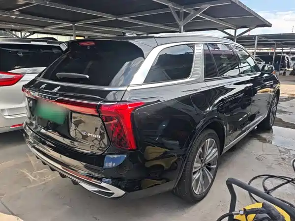 Hongqi E-HS9 2023