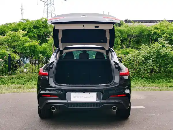 BMW X4 2021