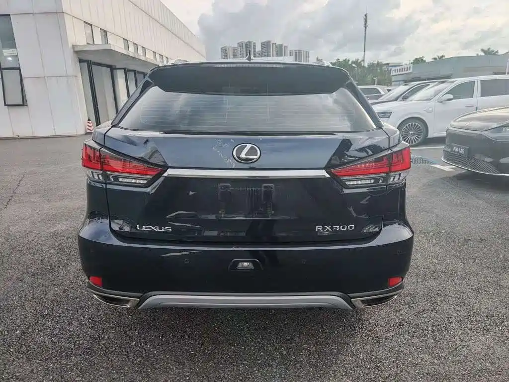 Lexus RX 2020 — фото 9