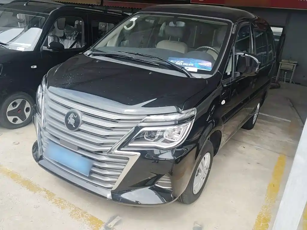 Fengxing Lingzhi 2024
