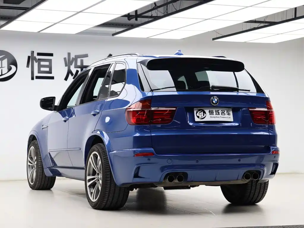 BMW X5 M 2010 — фото 22