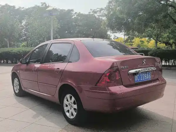 Peugeot 307 2009