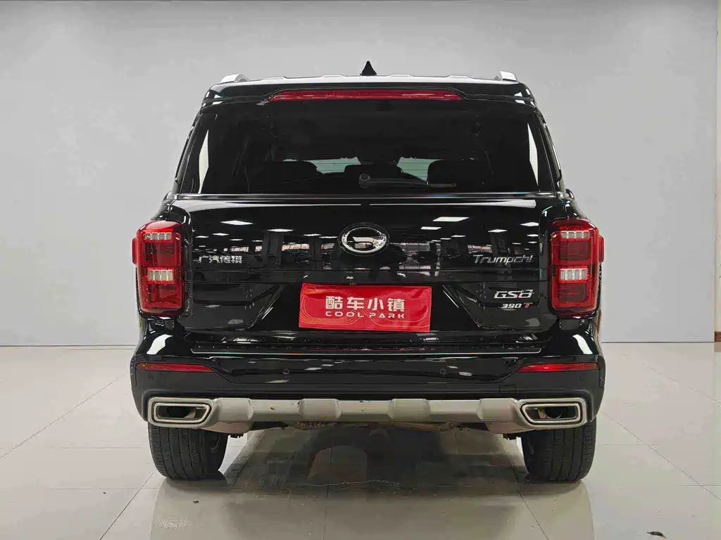 GAC Trumpchi GS8 2020 — фото 18