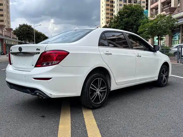 BYD Surui 2015