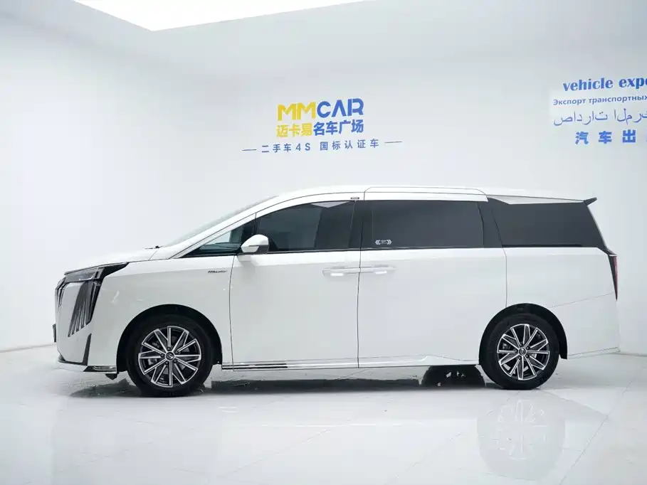 GAC Trumpchi M8 2024 — фото 11