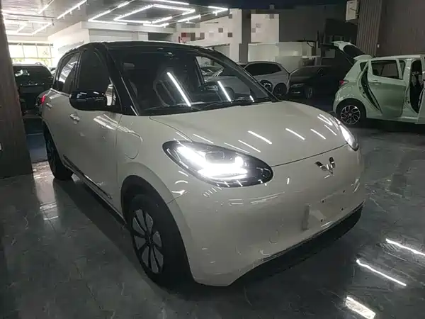Wuling Bingo 2024