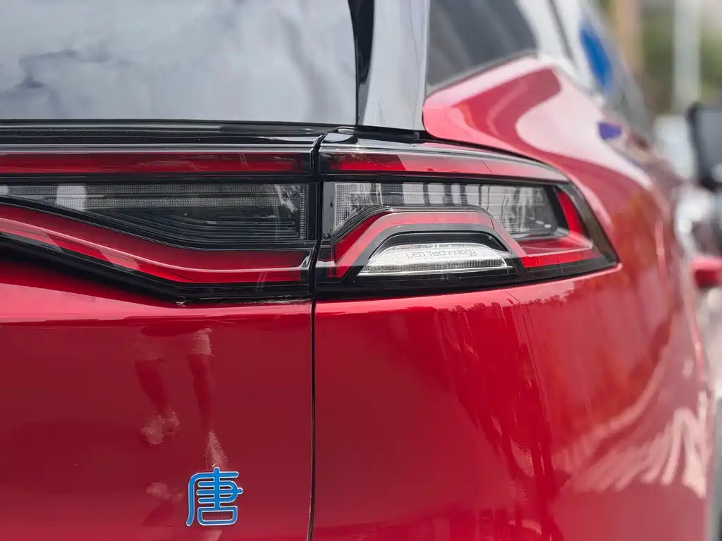 BYD Tang New Energy 2020 — фото 21