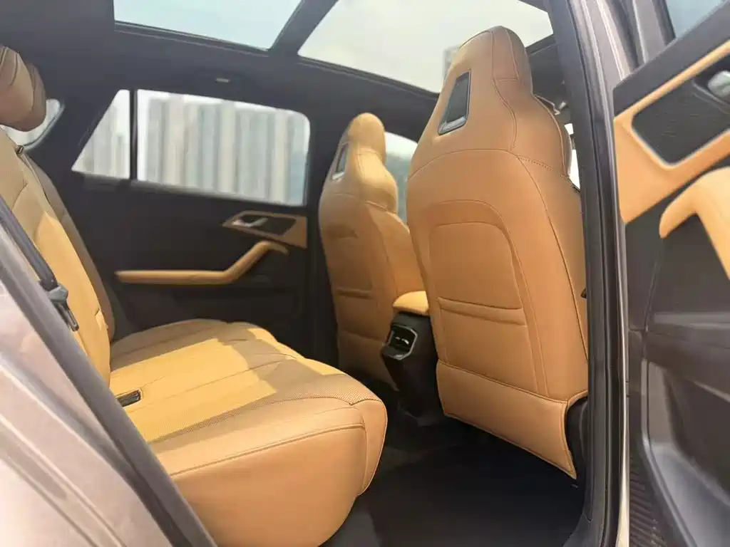 Roewe RX5 New Energy 2024 — фото 17
