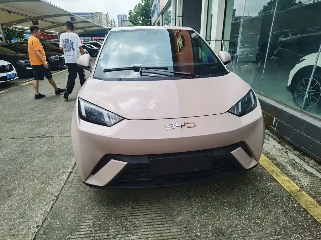 BYD Seagull 2025