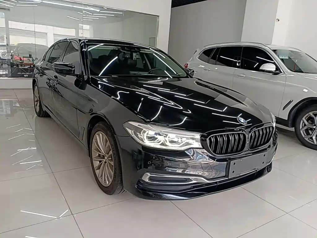 BMW 5 Series New Energy 2020