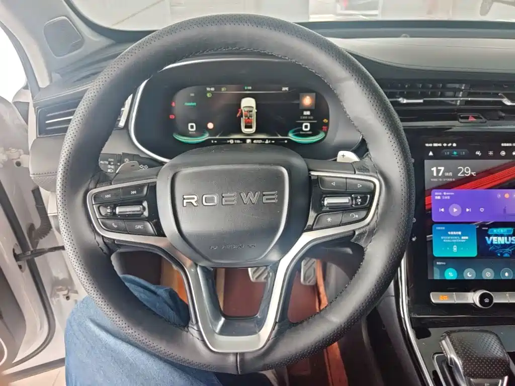 Roewe RX5 MAX 2021 — фото 11