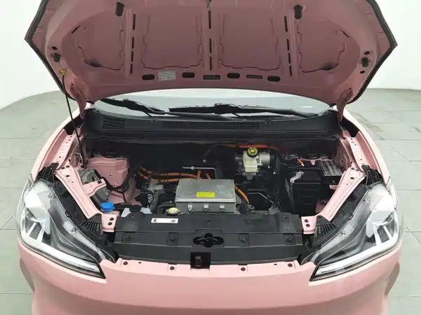Neta V 2022