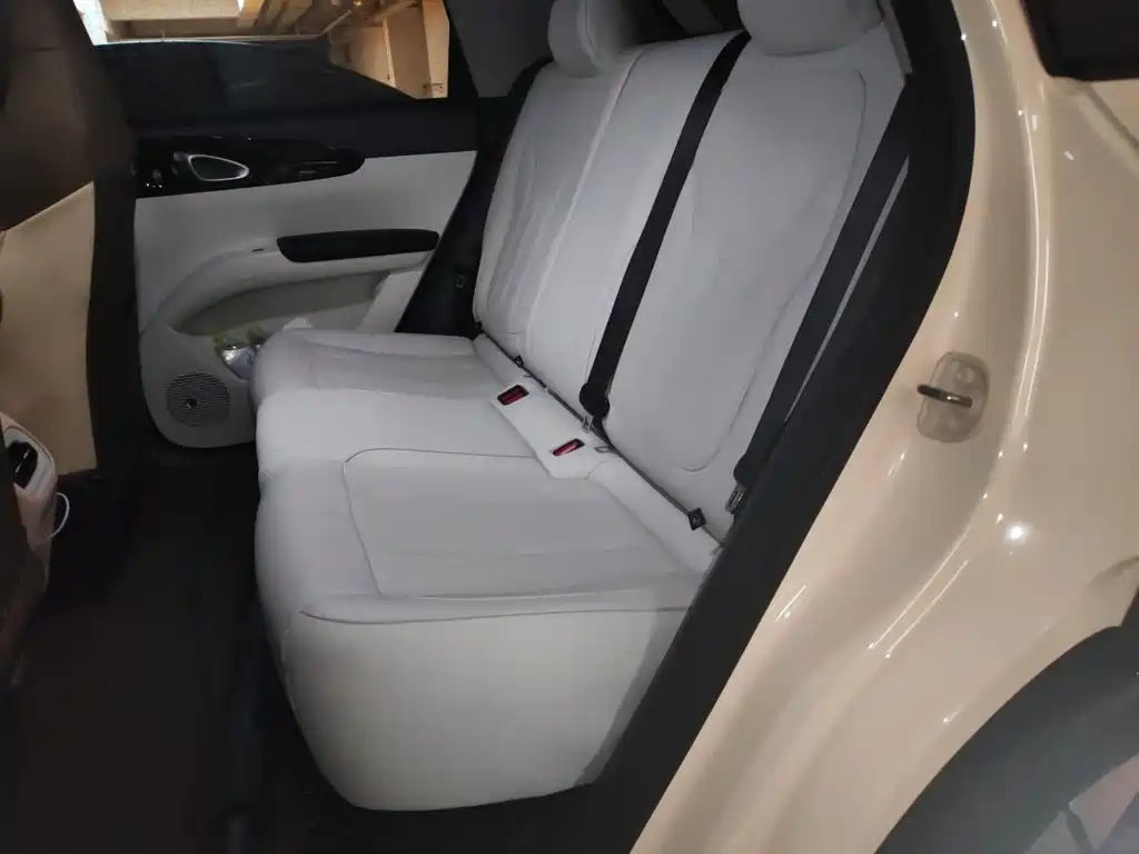 Geely Galaxy Starwish 2025 — фото 18