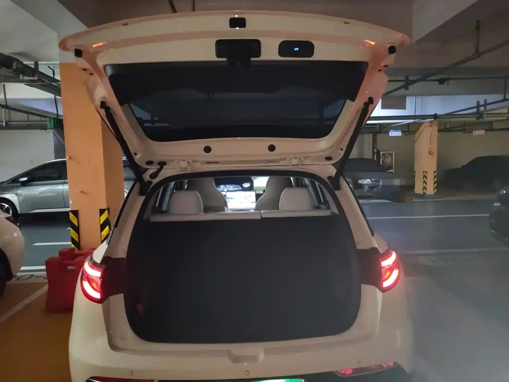 Geely Galaxy Starwish 2025 — фото 20