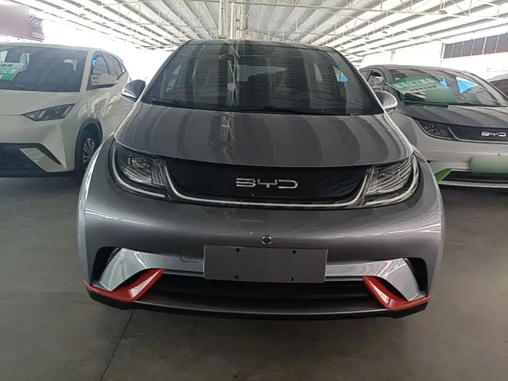 BYD Dolphin 2022