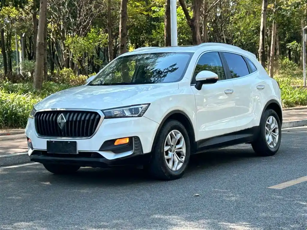 Borgward BX5 2019