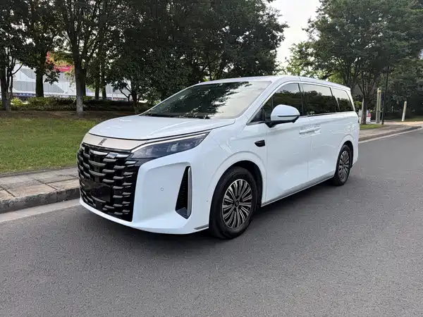 BYD Summer 2025