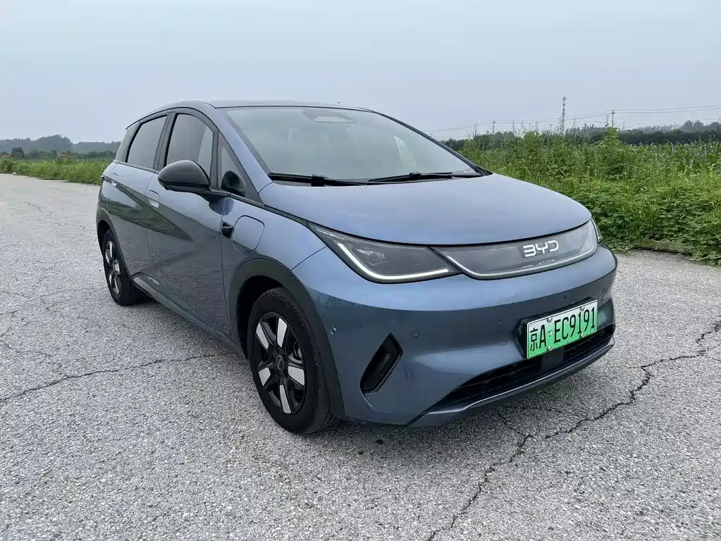 BYD Dolphin 2025