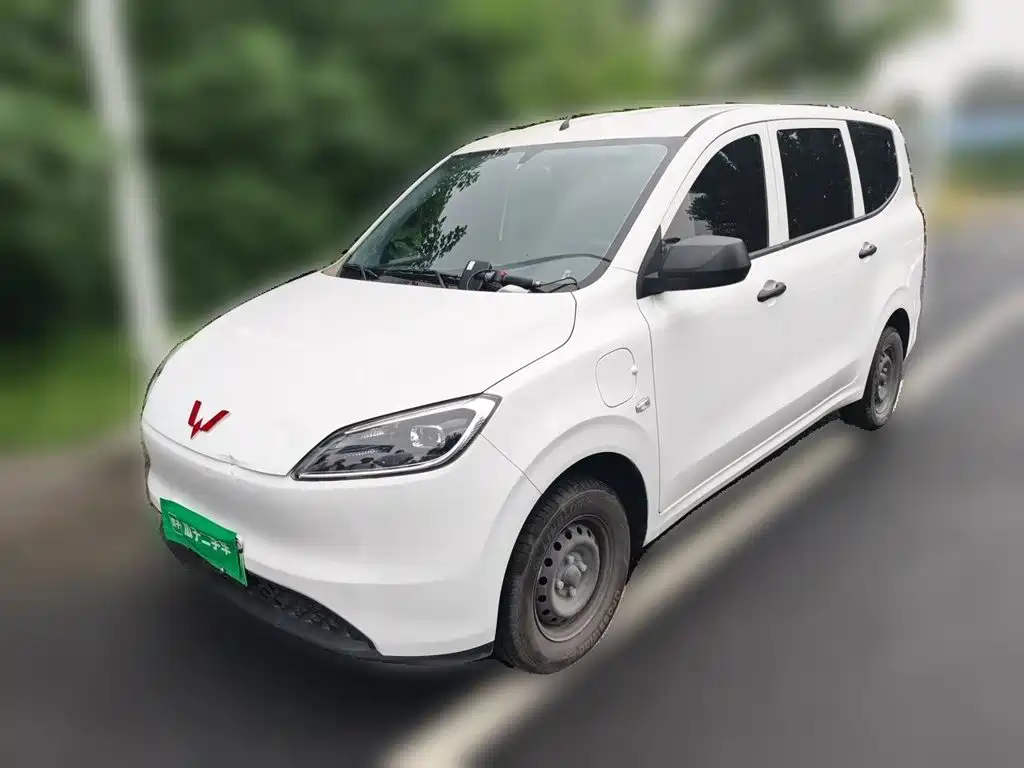 Wuling Hongguang New Energy 2025