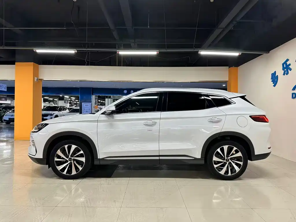 BYD Song PLUS New Energy 2024 — фото 9
