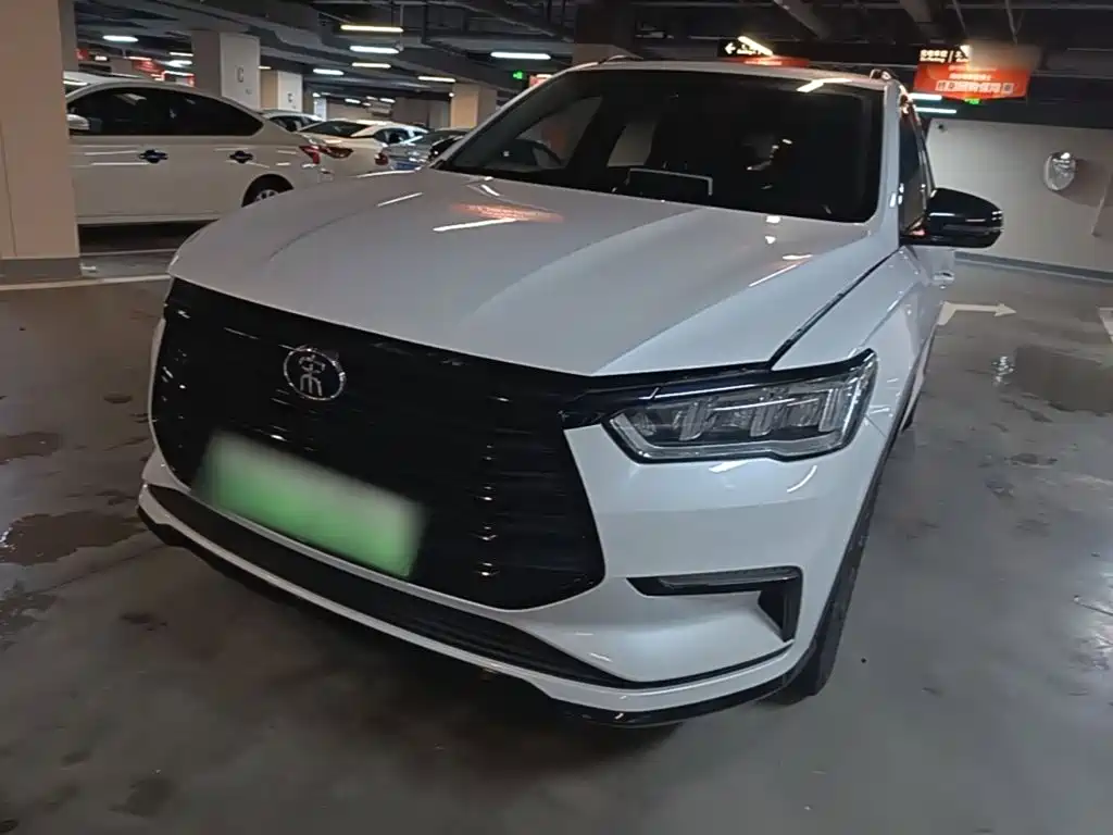 BYD Pro New Energy 2020 — фото 2