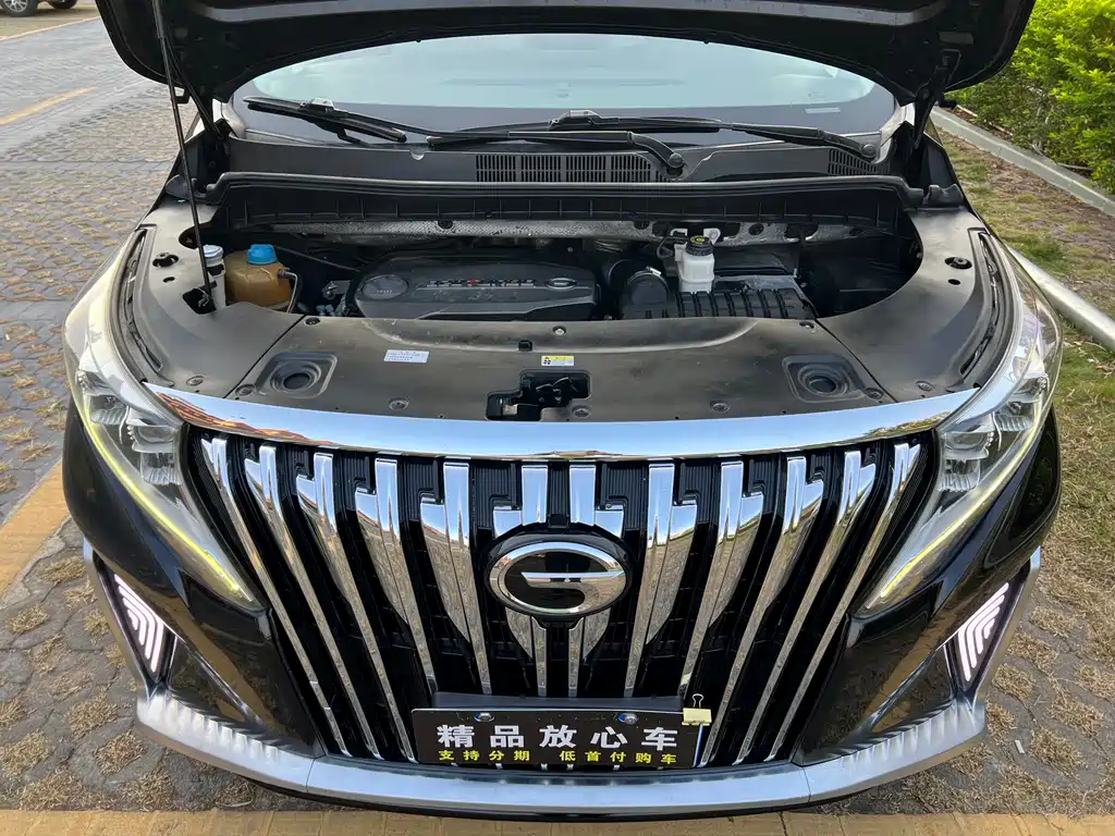 GAC Motor Trumpchi M8 2019 — фото 19