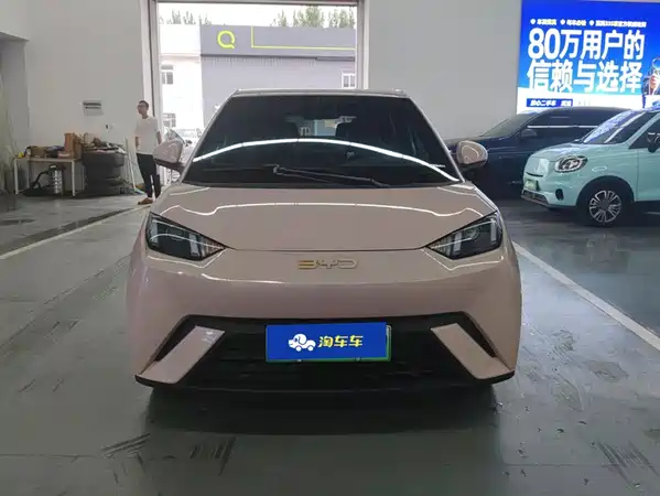 BYD Seagull 2024