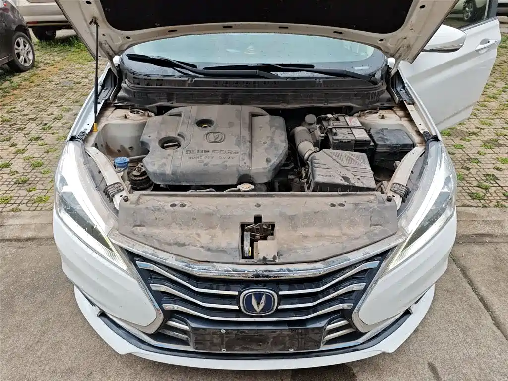 Changan Eado DT 2019 — фото 19