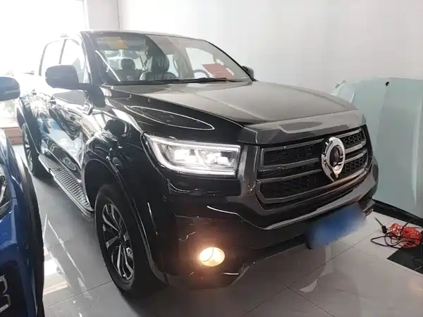 Great Wall Poer 2024