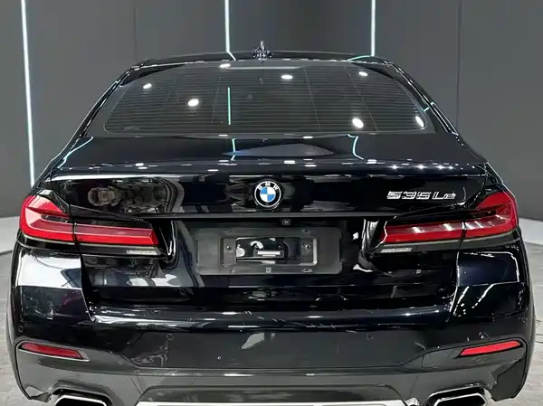 BMW 5 Series New Energy 2021