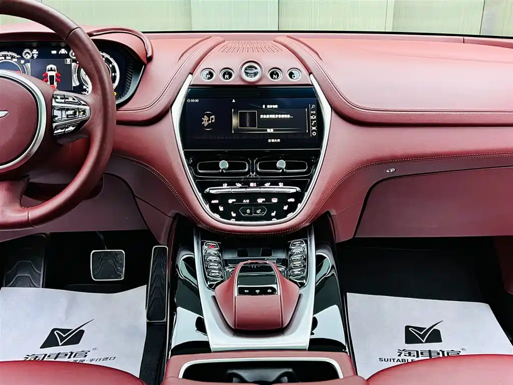 Aston Martin DBX 2021 — фото 12
