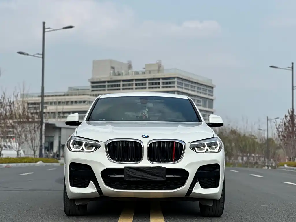 BMW X4 2019 — фото 2