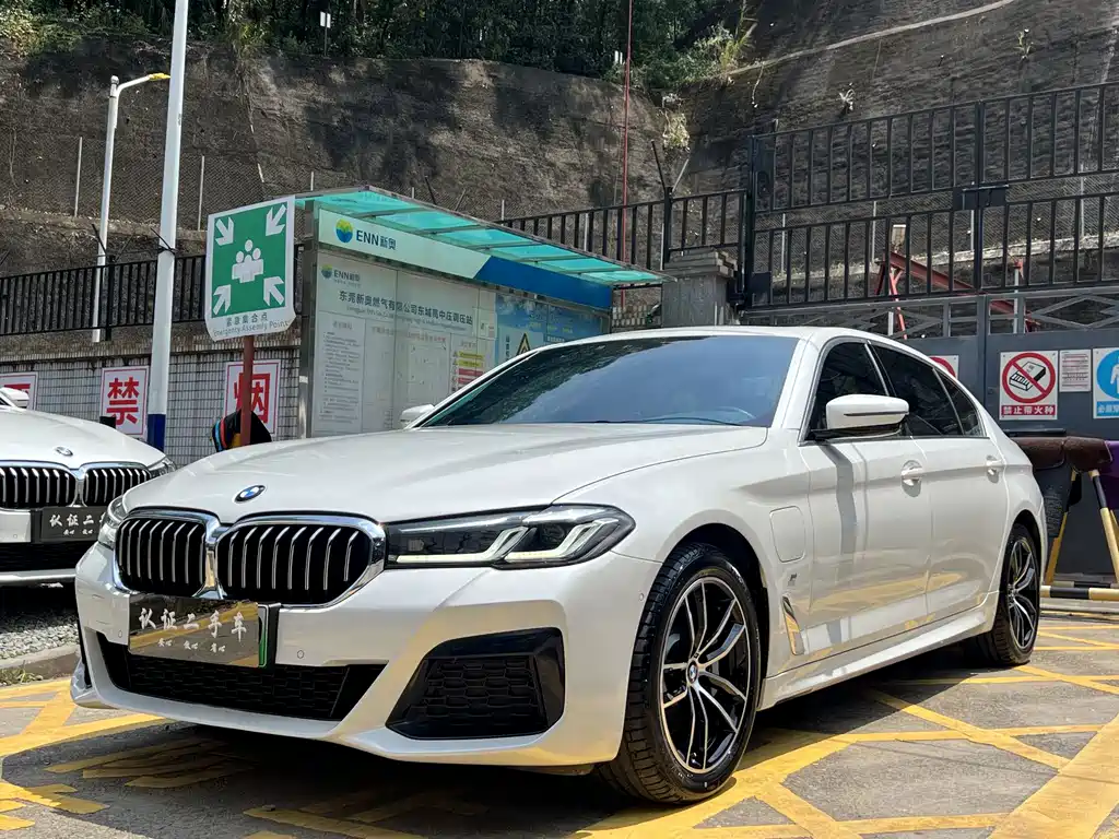 BMW 5 Series New Energy 2021 — фото 1