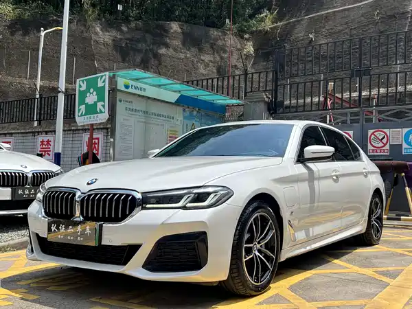 BMW 5 Series New Energy 2021