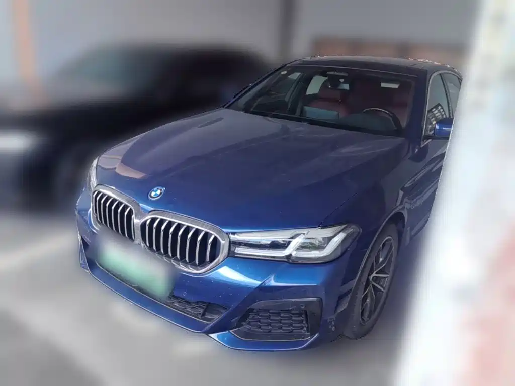 BMW 5 Series New Energy 2022