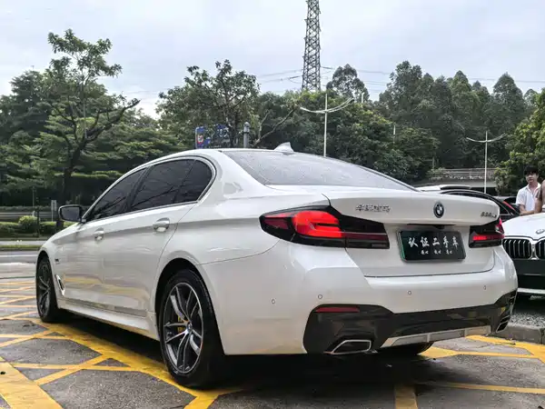 BMW 5 Series New Energy 2022