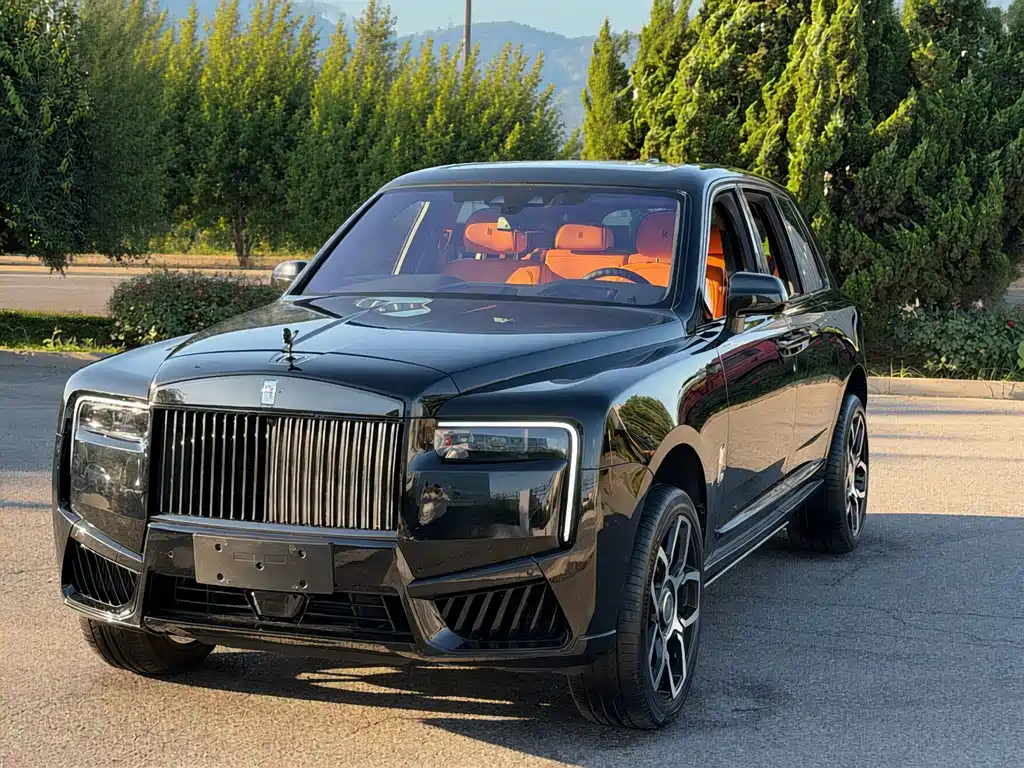 Rolls-Royce Cullinan 2019 — фото 1