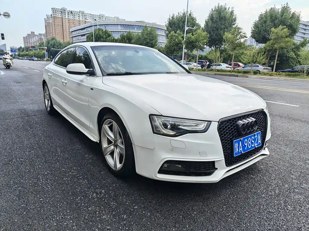 Audi S5 2013