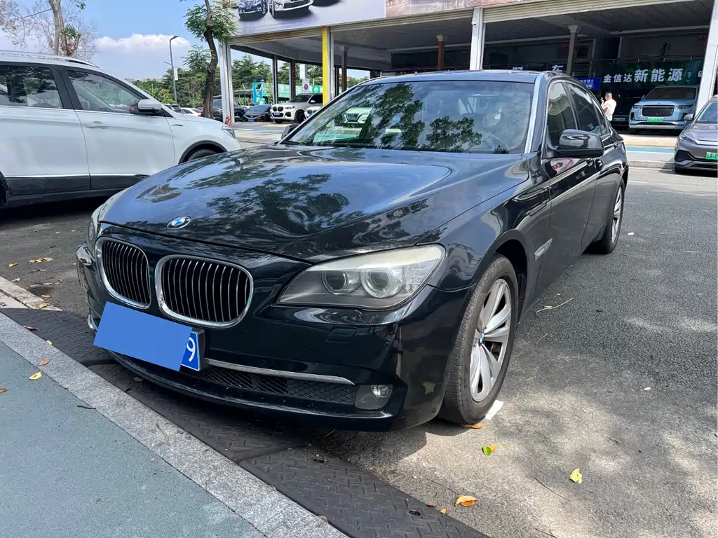 BMW 7 Series 2010 — фото 1