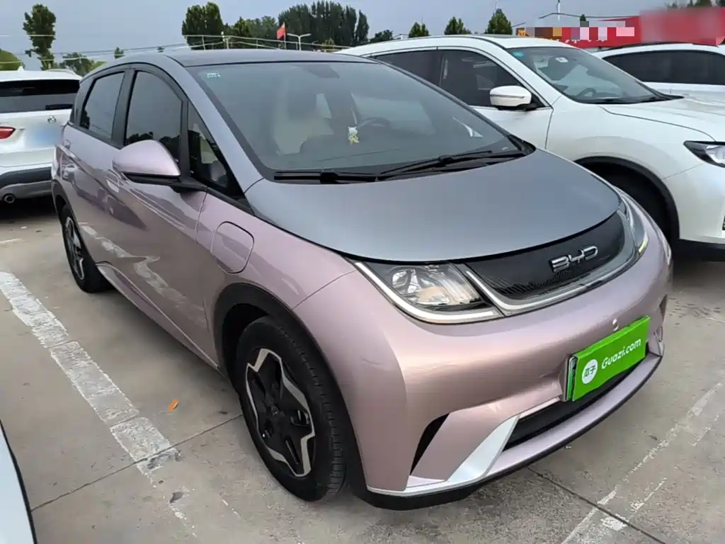 BYD Dolphin 2022