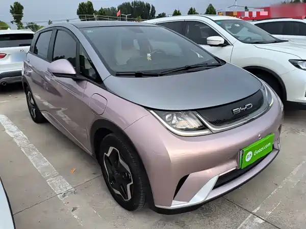BYD Dolphin 2022