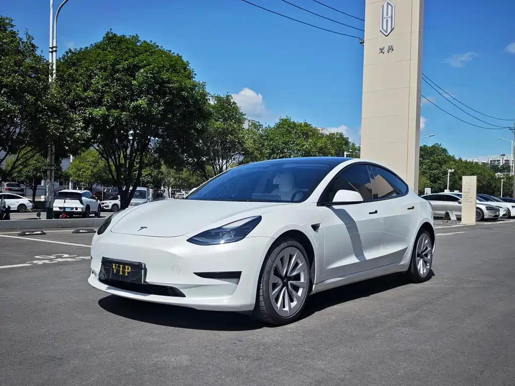 Tesla Model 3 2021 — фото 1
