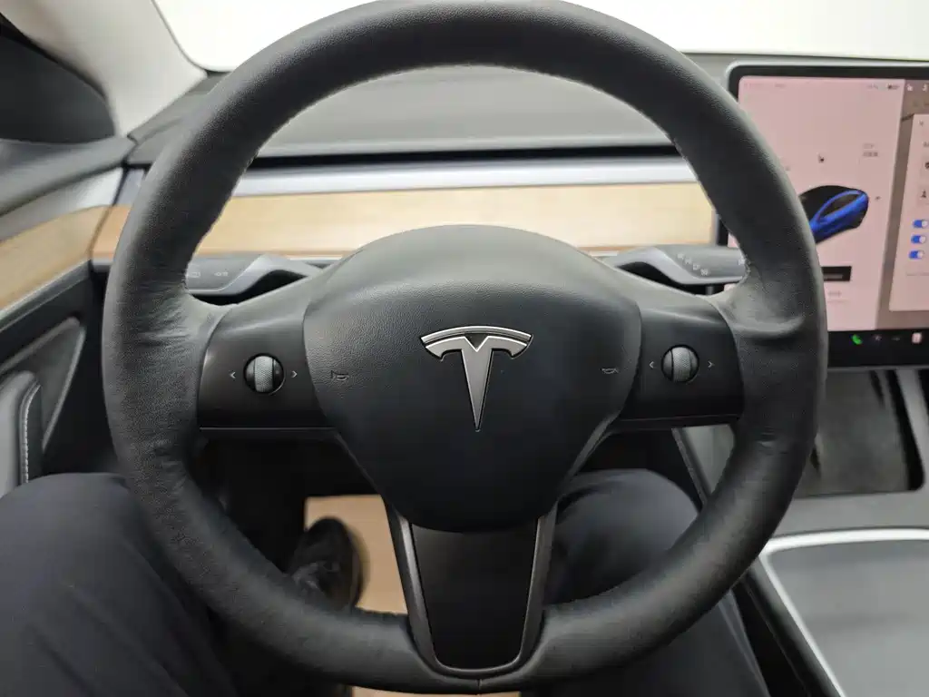 Tesla Model 3 2021 — фото 23