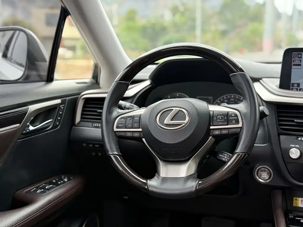 Lexus RX 2020 — фото 10