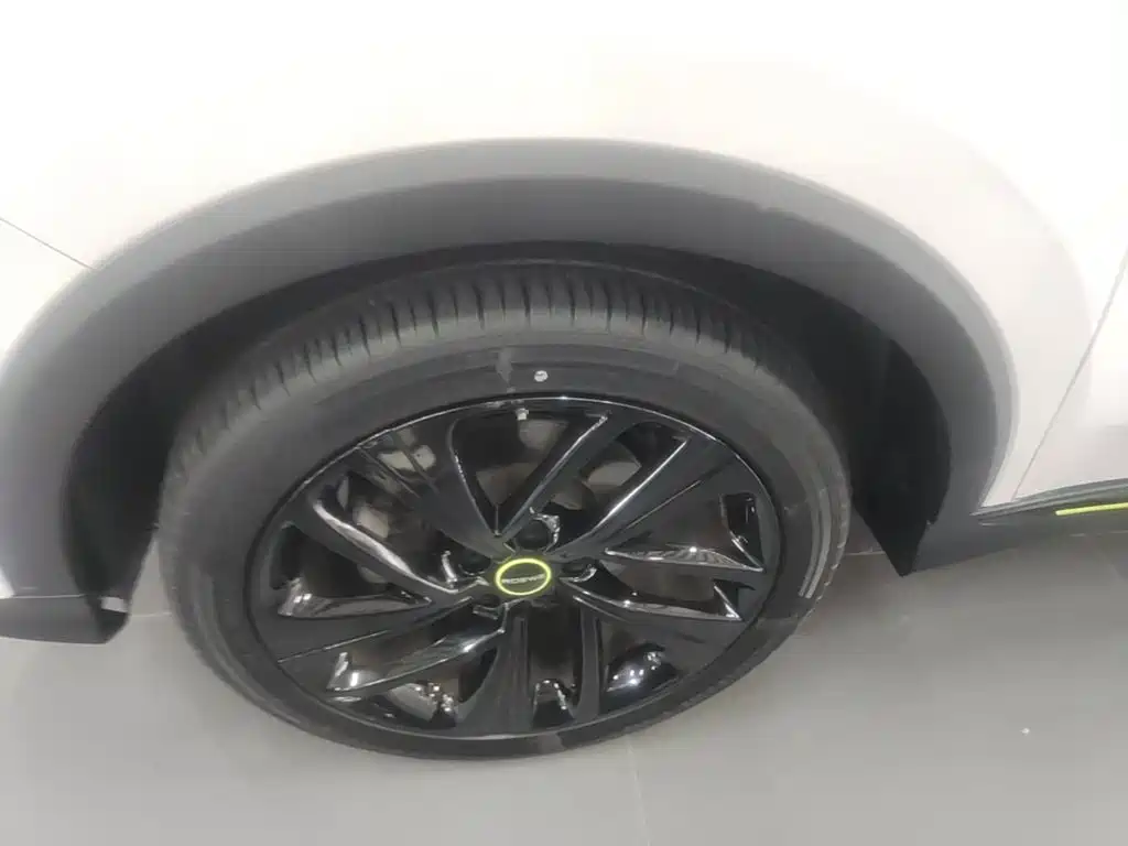 Roewe RX5 New Energy 2021 — фото 23