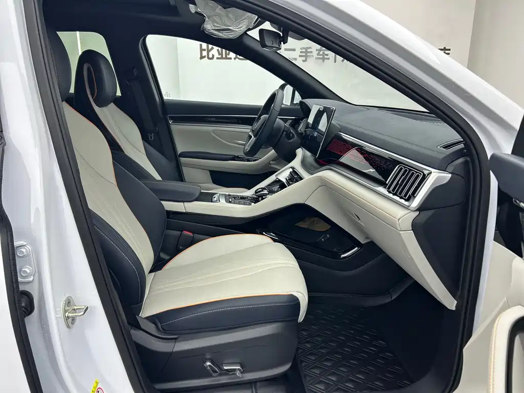 BYD Song PLUS New Energy 2023 — фото 8