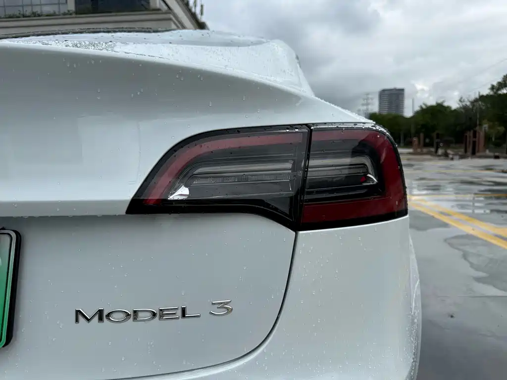 Tesla Model 3 2021 — фото 10