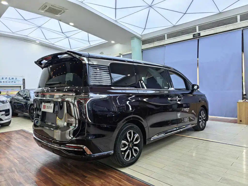 Hongqi HQ9 2023 — фото 15