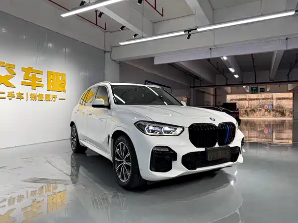BMW X5 2019